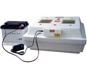 inkubator-dlya-bdzholynyh-matok-1